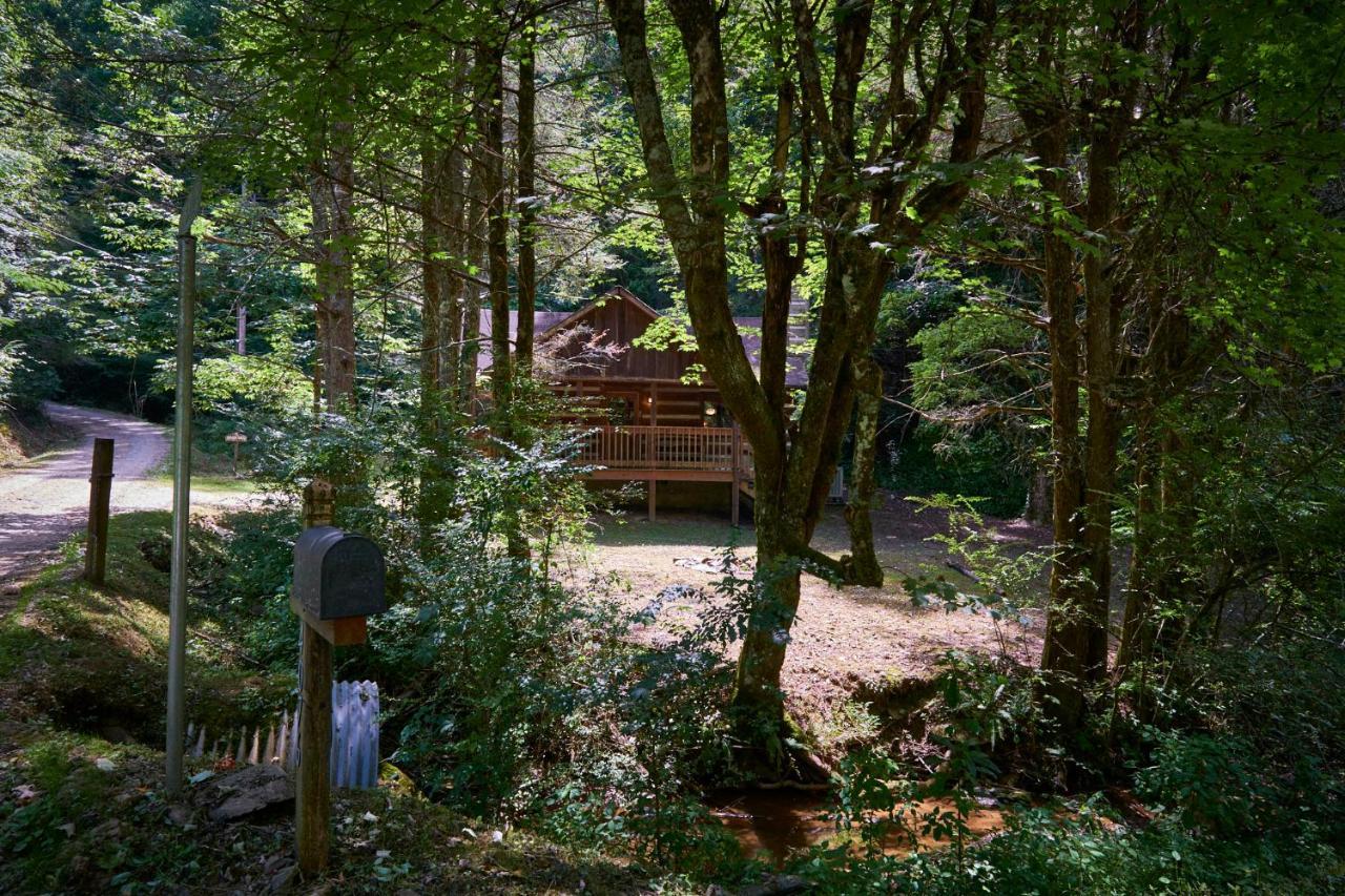 A Cabin In The Woods Pigeon Forge Dış mekan fotoğraf