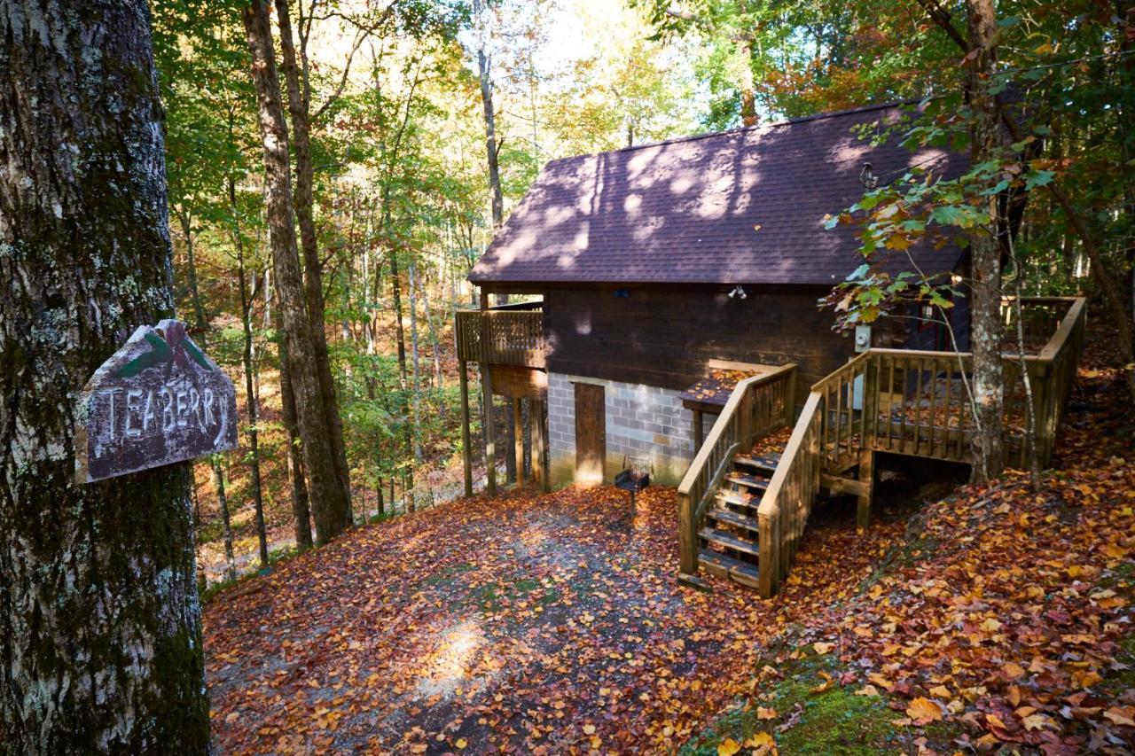 A Cabin In The Woods Pigeon Forge Dış mekan fotoğraf