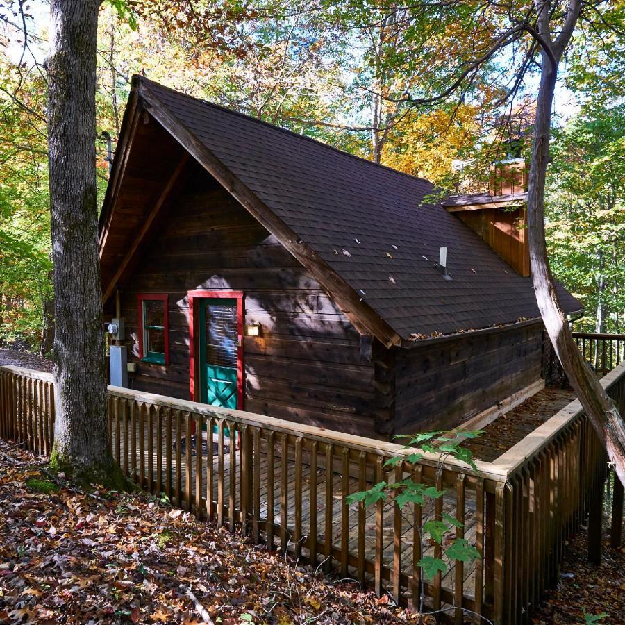 A Cabin In The Woods Pigeon Forge Dış mekan fotoğraf