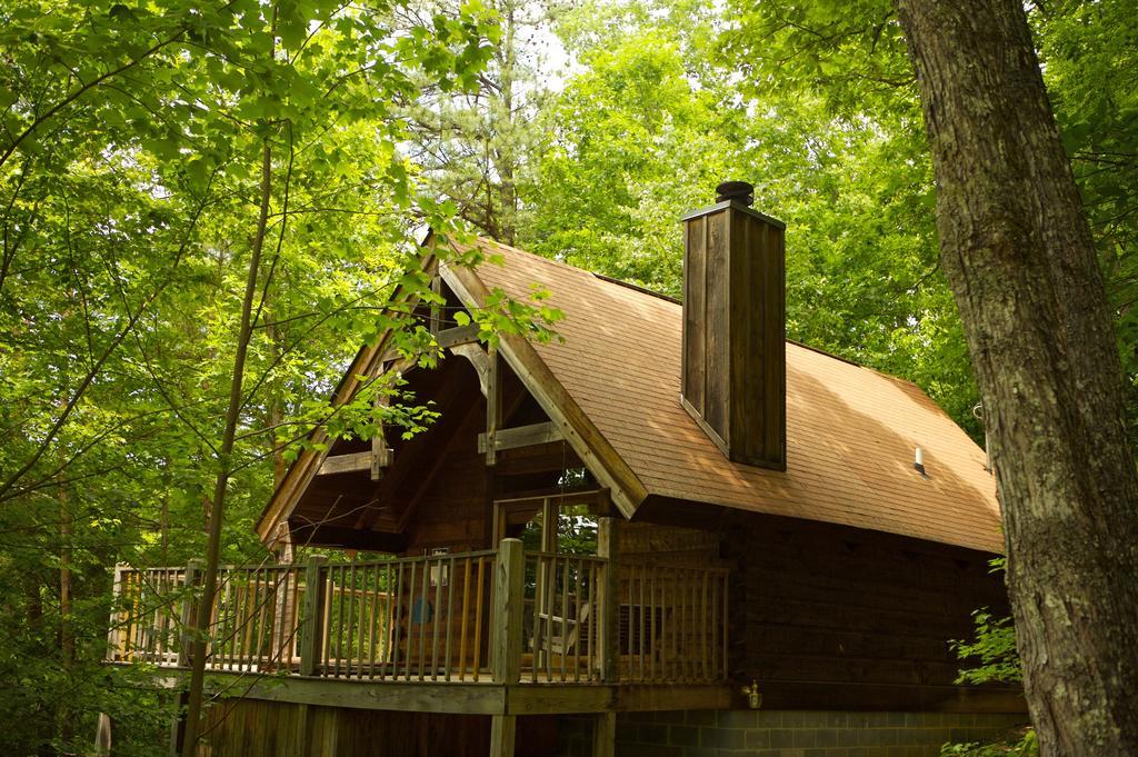 A Cabin In The Woods Pigeon Forge Dış mekan fotoğraf